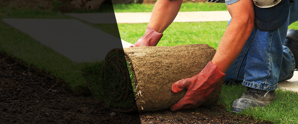 Adams Landscapers
